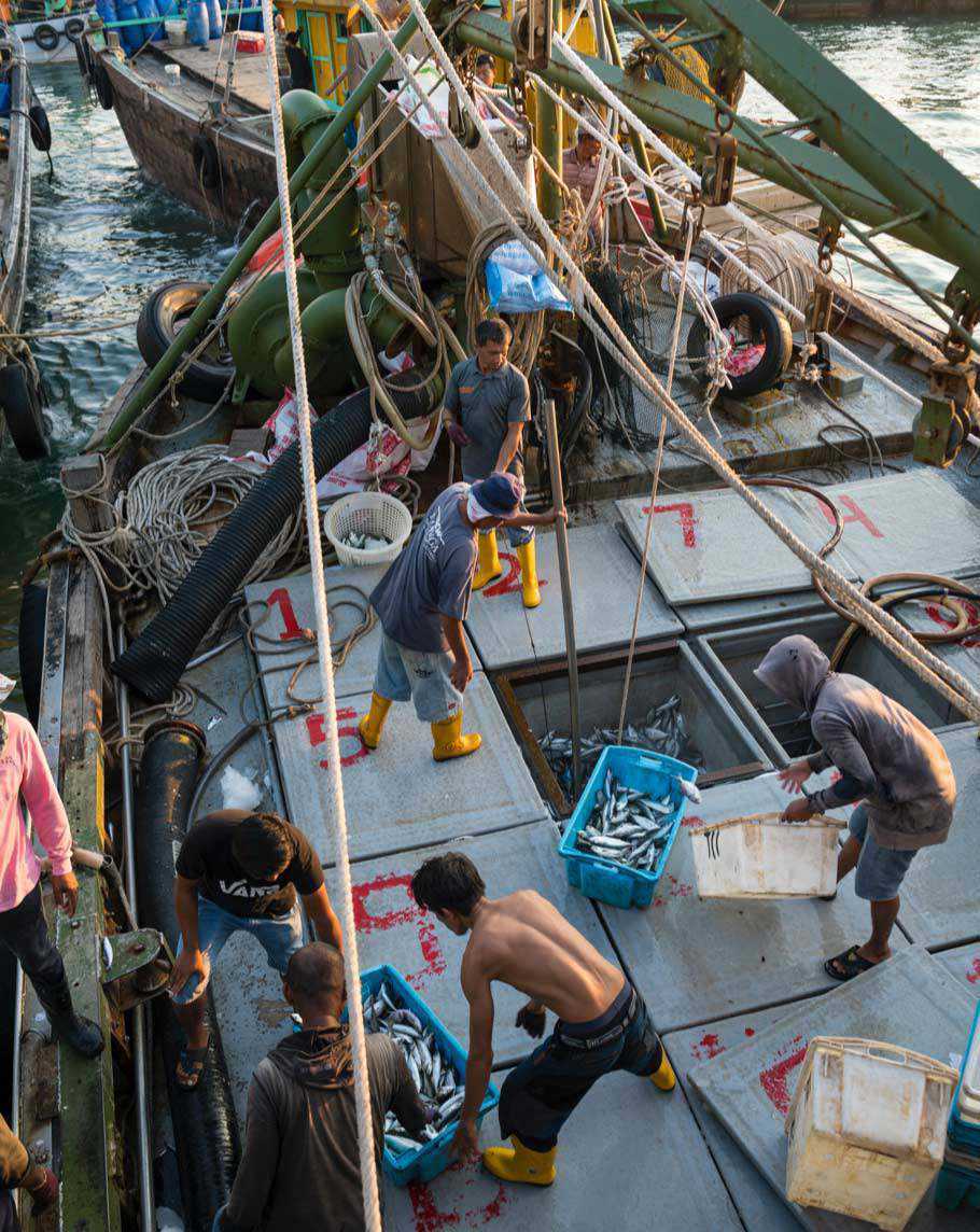 Thai Fishermen